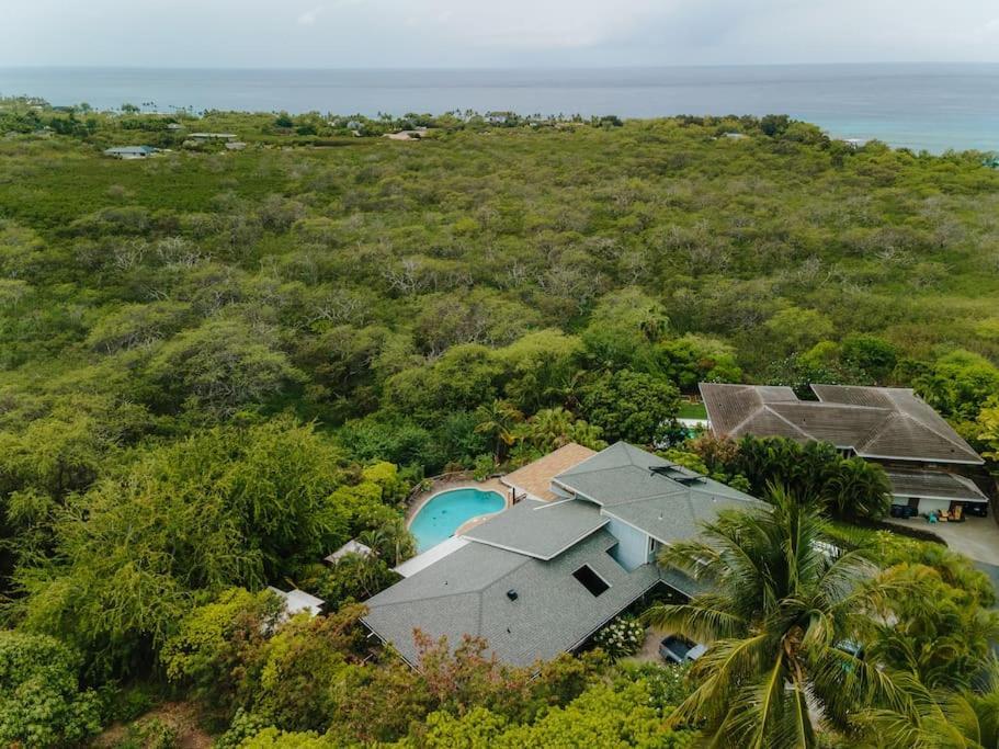 The Pohaku Studio At The Koi House Kailua Kültér fotó